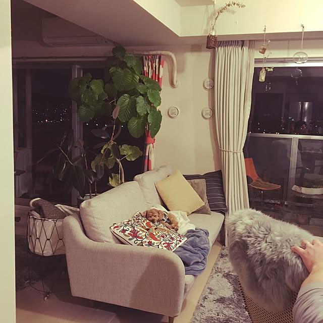yuchiさんの実例写真