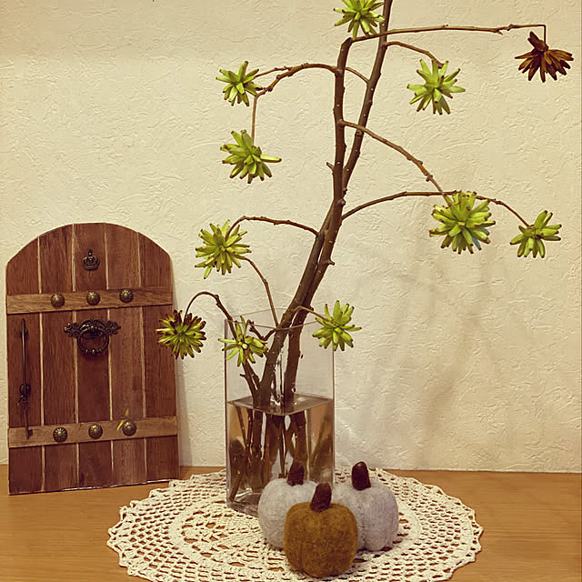 toshiさんの実例写真