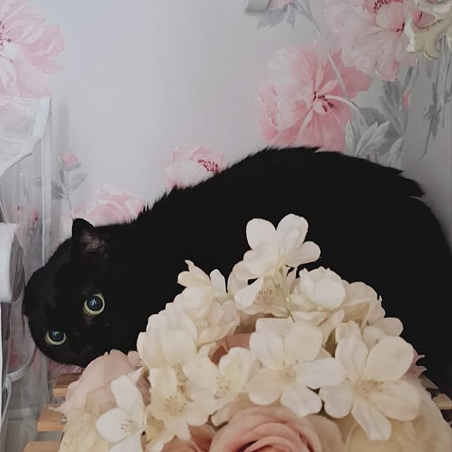 moko.7525himeさんの実例写真