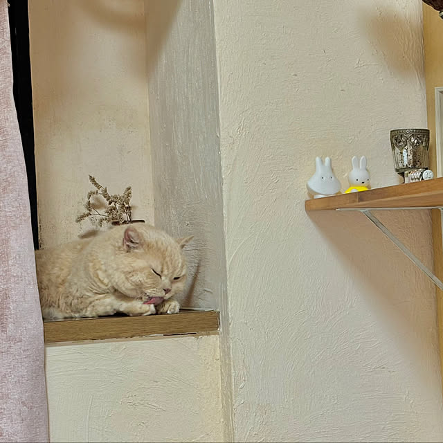 naokoさんの実例写真