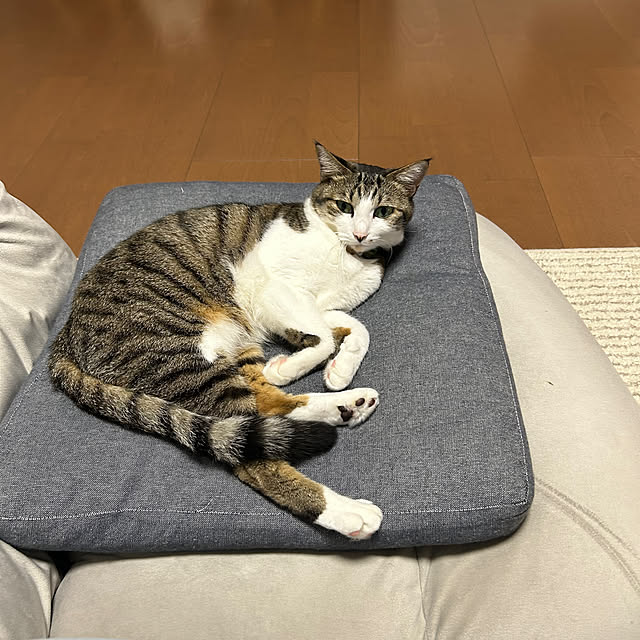 nacchi4さんの実例写真
