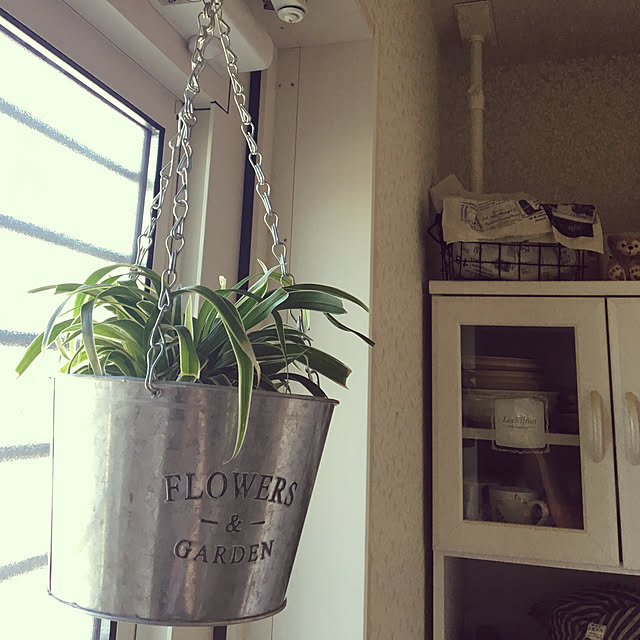 i0101zさんの実例写真