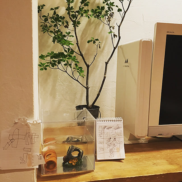 puu.tuuliさんの実例写真