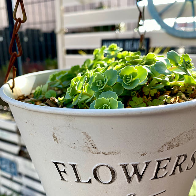 YuuKoさんの実例写真