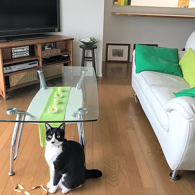 hiyo.pietさんの実例写真