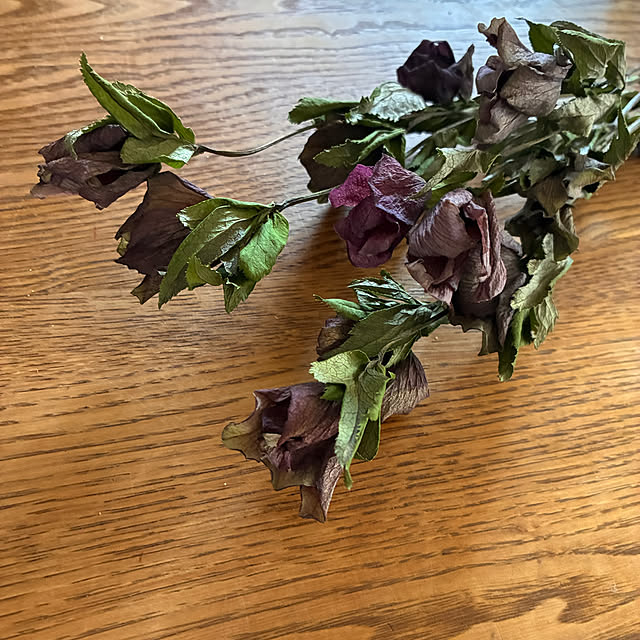 ayayayayaさんの部屋