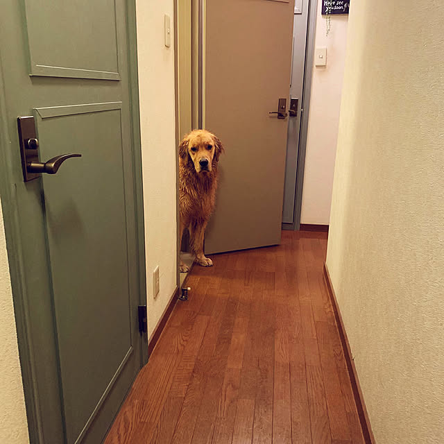 noriさんの実例写真