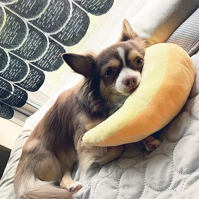 chocoさんの実例写真