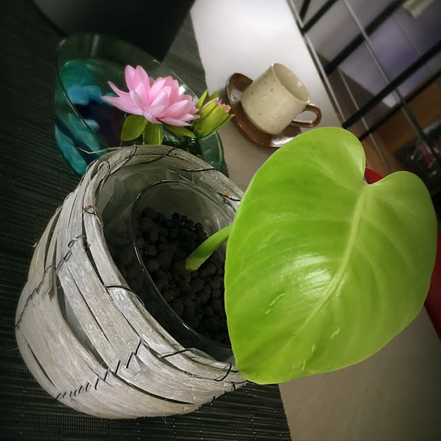 実例写真