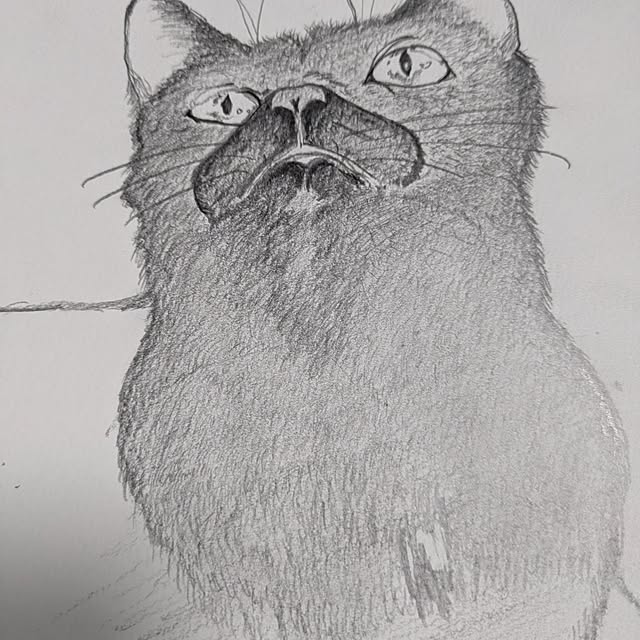 asaさんの実例写真