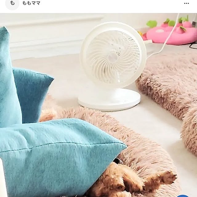 MOMOMAMAさんの実例写真
