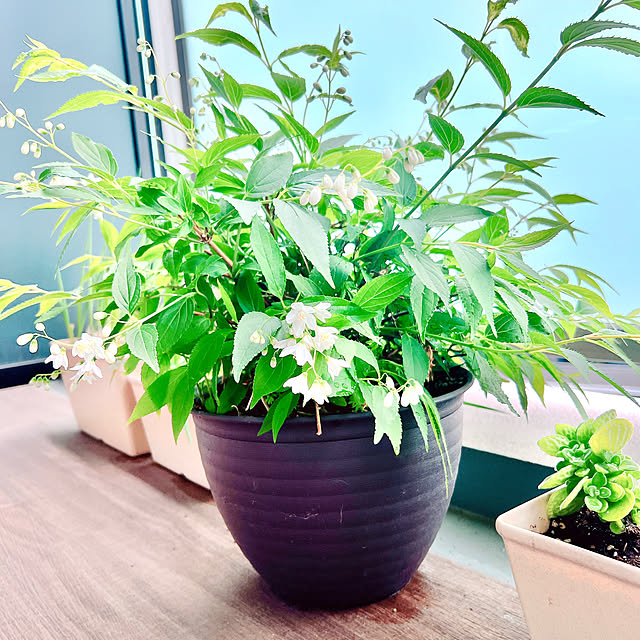 ponme33さんの部屋