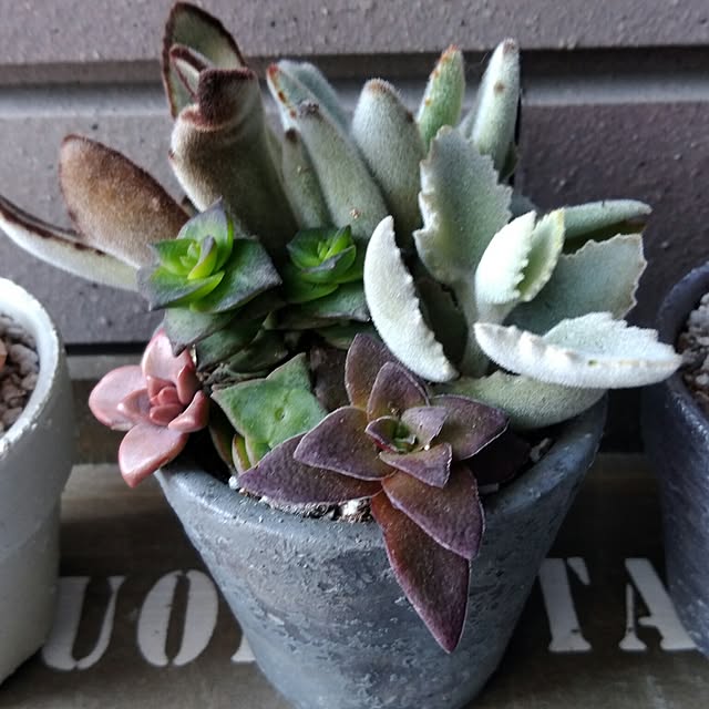 j.tさんの部屋