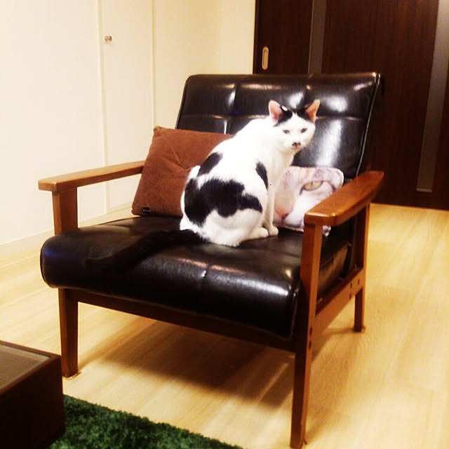 noguchiken0102さんの実例写真