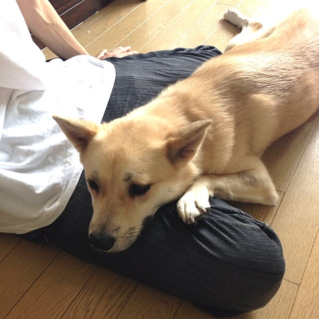 leonaさんの実例写真