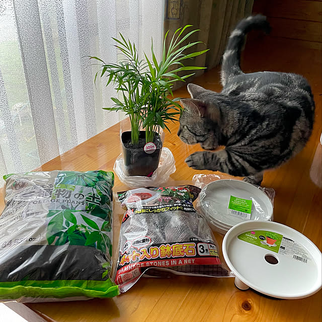 yumiさんの実例写真