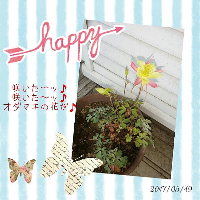 Yumiさんの実例写真
