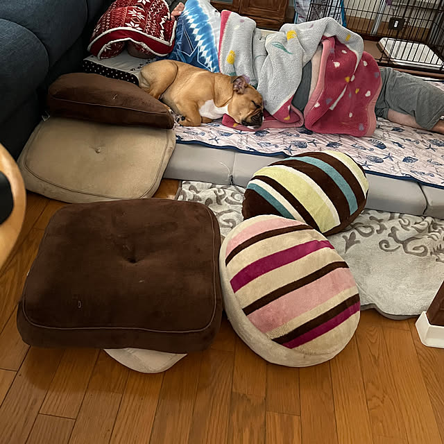 chi_gogaさんの部屋