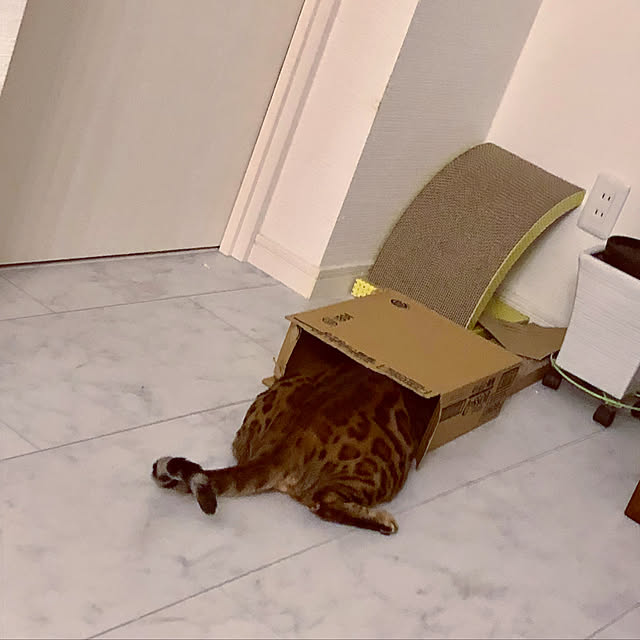 iranさんの実例写真
