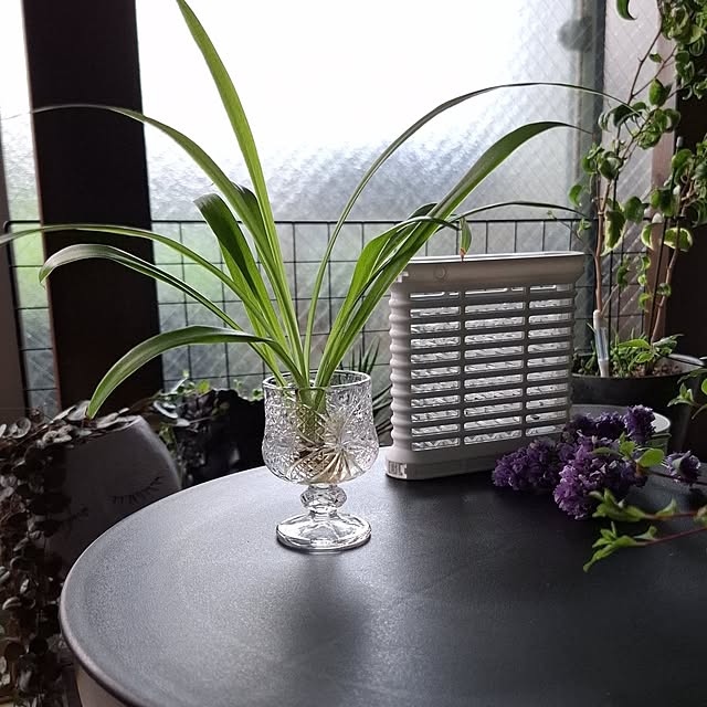 noaさんの部屋