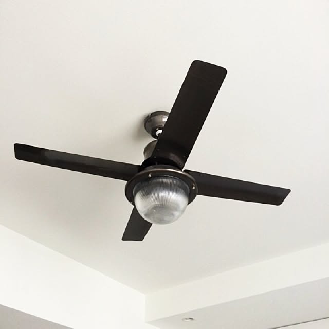 taneさんの部屋