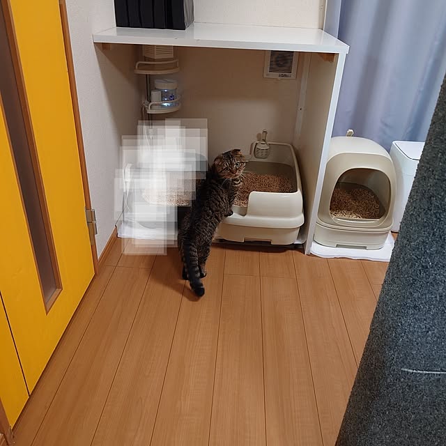 noguriさんの実例写真