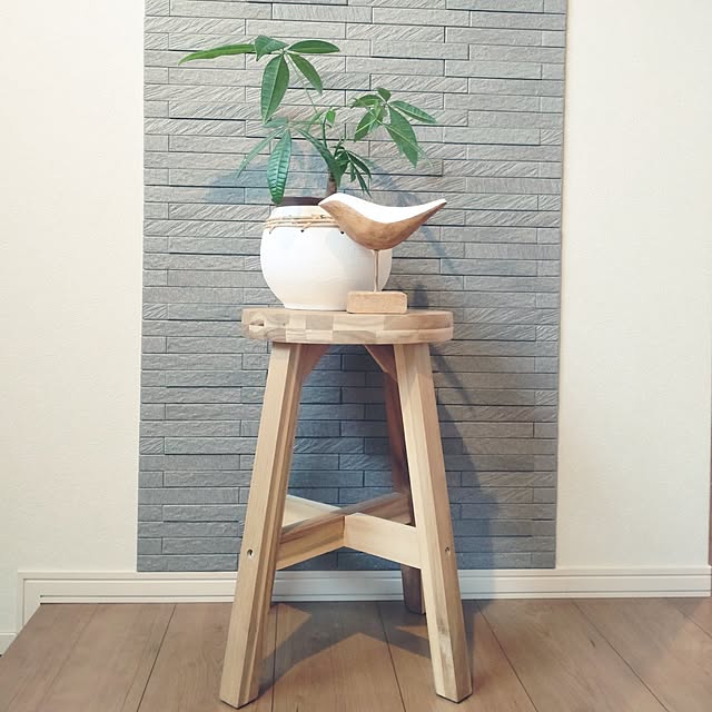 tan5さんの実例写真