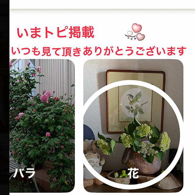 ritsukoさんの実例写真
