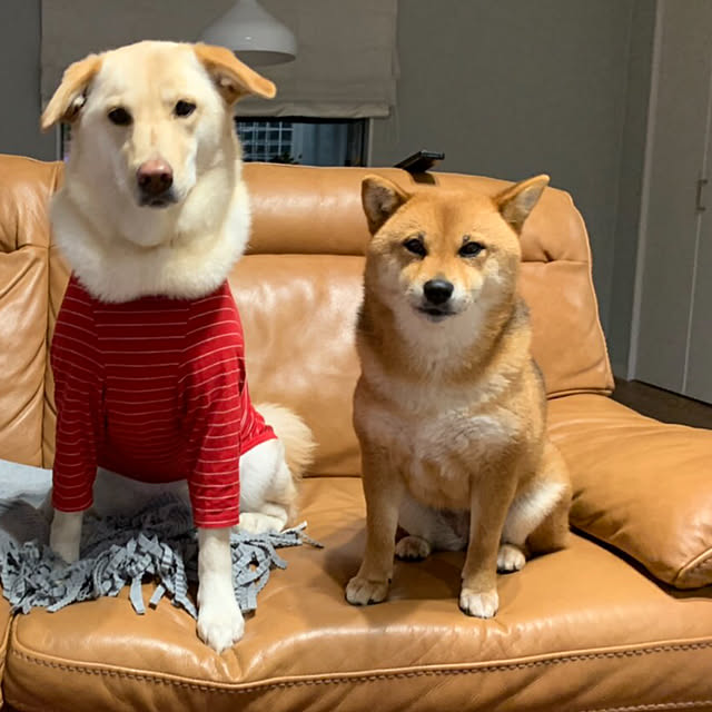 mtkさんの実例写真