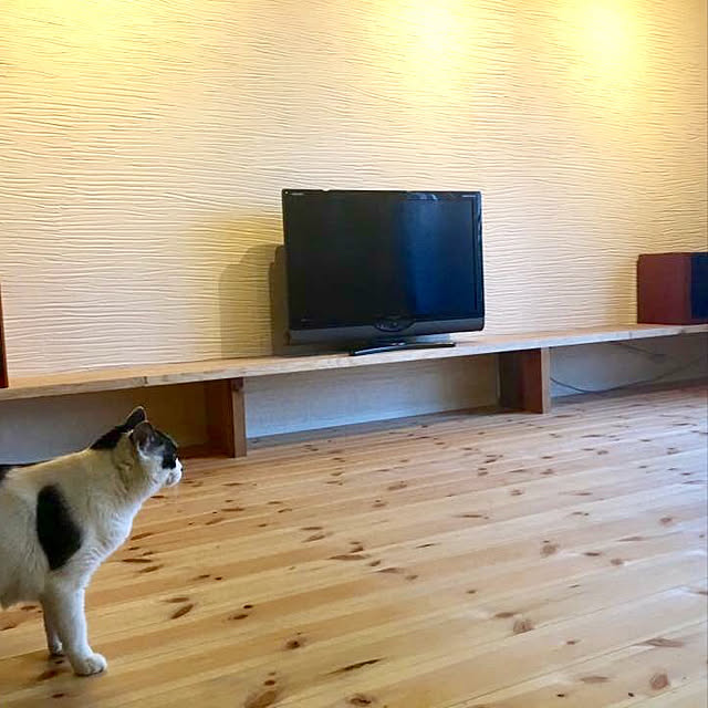 suz_catさんの実例写真
