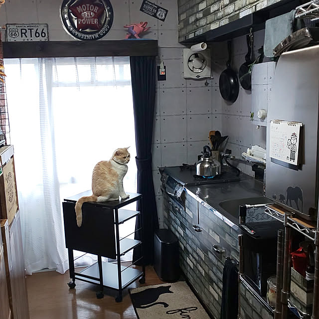 kobakissaさんの実例写真