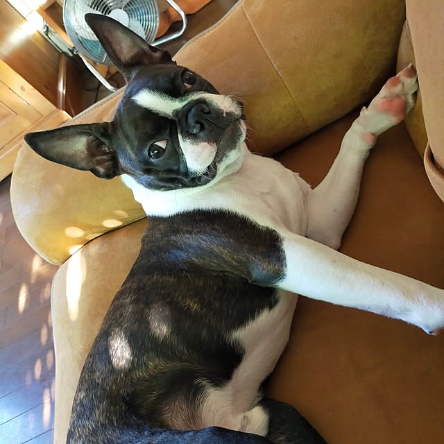 michiさんの実例写真