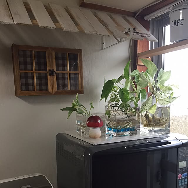 実例写真