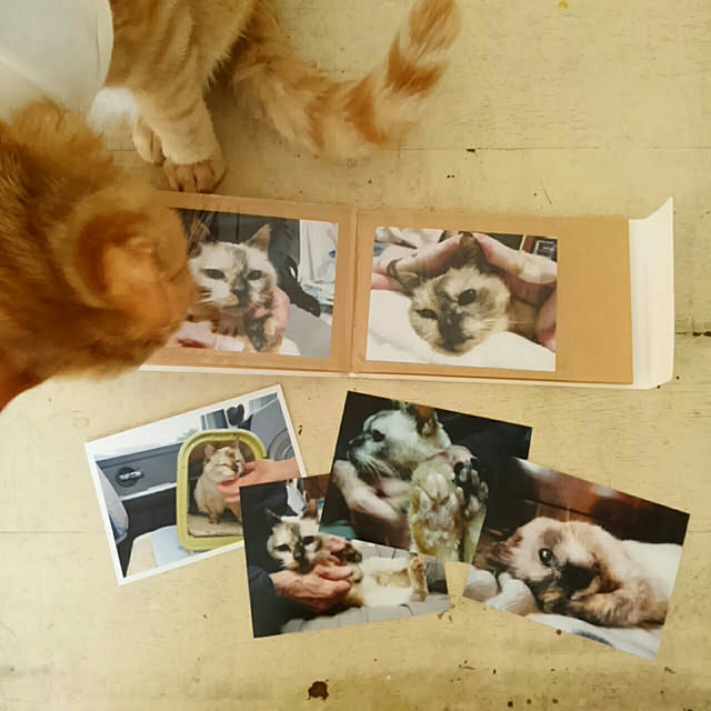 mayutan.さんの実例写真