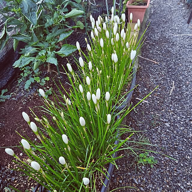 mocomocoさんの部屋