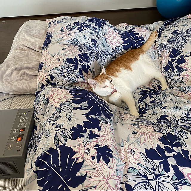 porinさんの実例写真