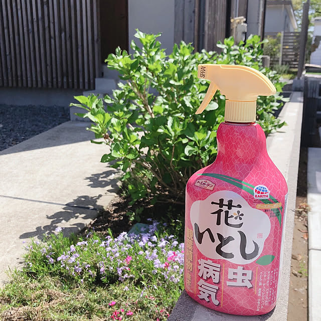 kossyさんの実例写真