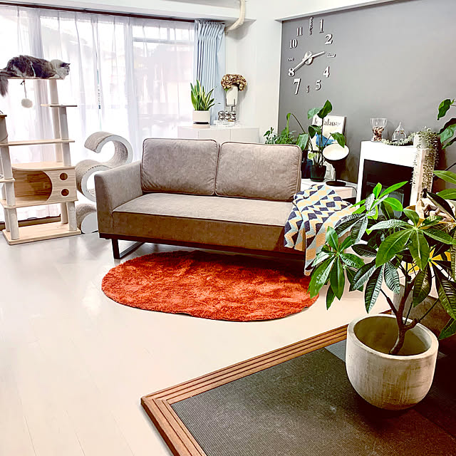 Micccaさんの実例写真