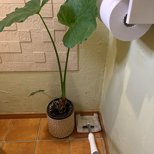 mizucchiさんの実例写真
