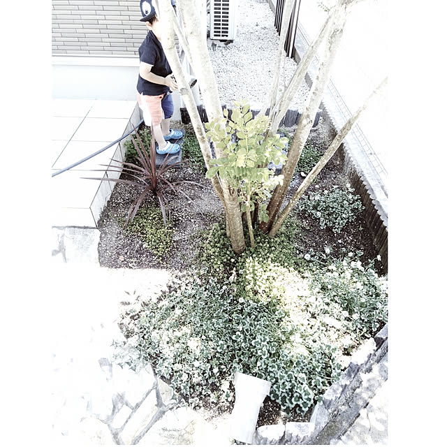 kodaminさんの実例写真