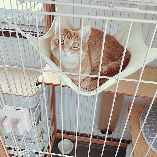 reo..m.aさんの実例写真