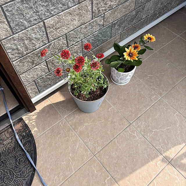 miyu39さんの部屋