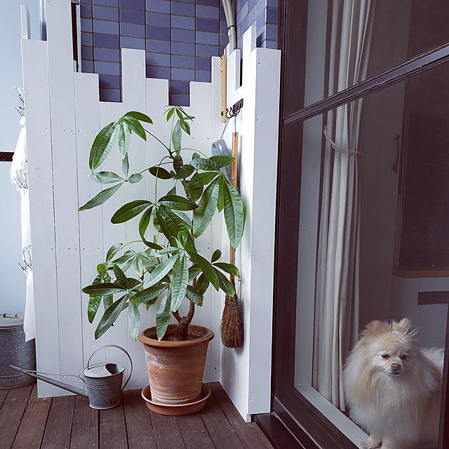 HYさんの実例写真