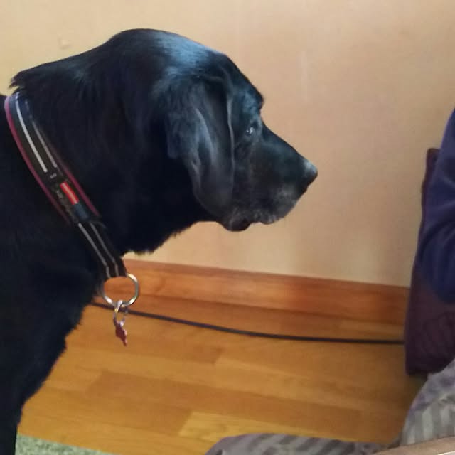 ohisamaさんの実例写真