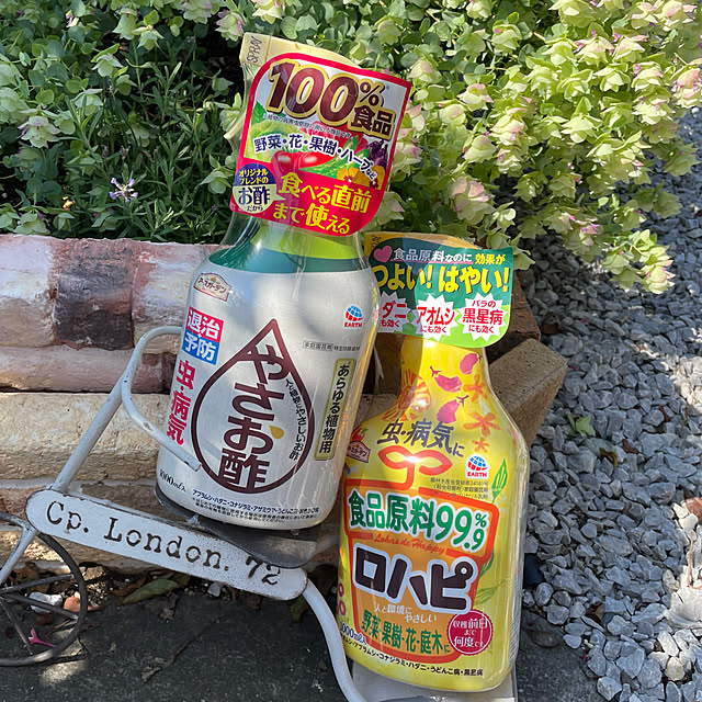 ronronさんの部屋
