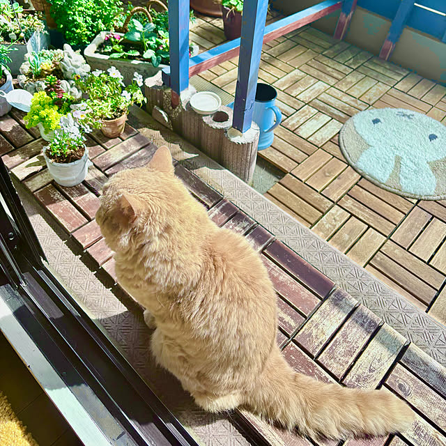 naokoさんの部屋