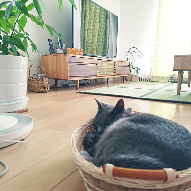 yumikanaさんの実例写真