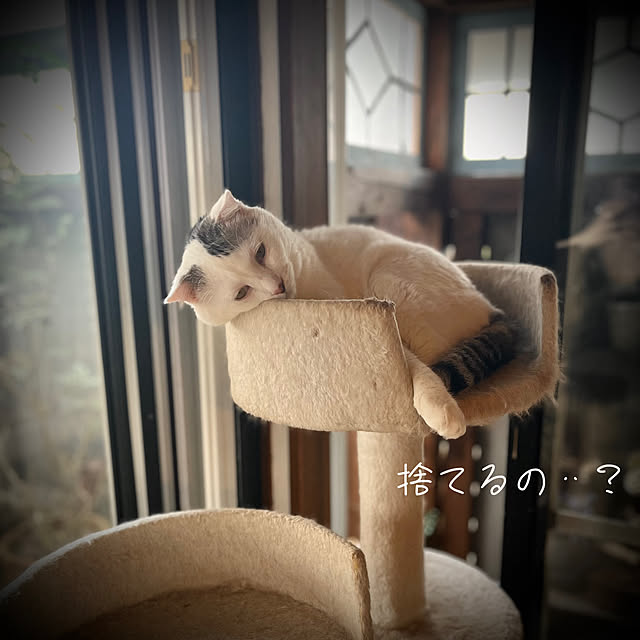 marusanさんの部屋