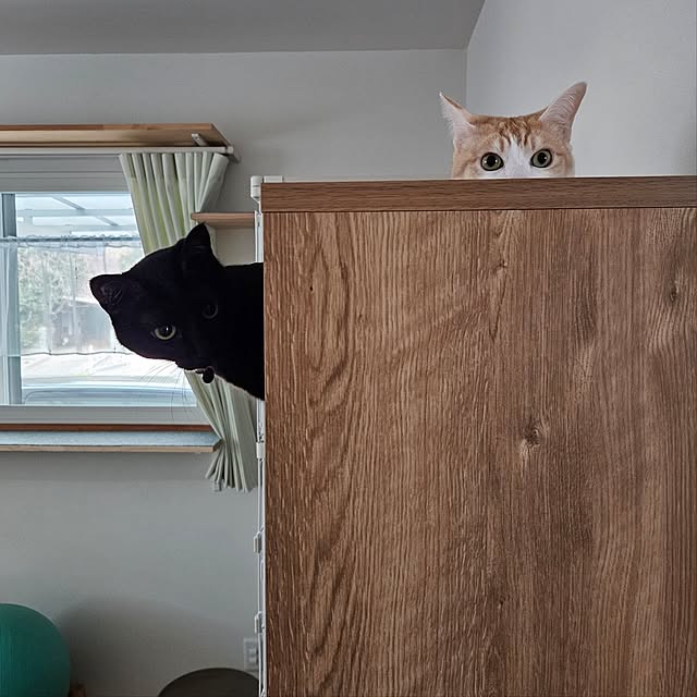 koyurizuさんの実例写真