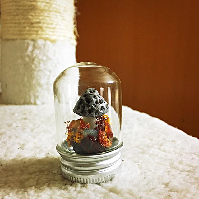 ramuchop3000さんの実例写真